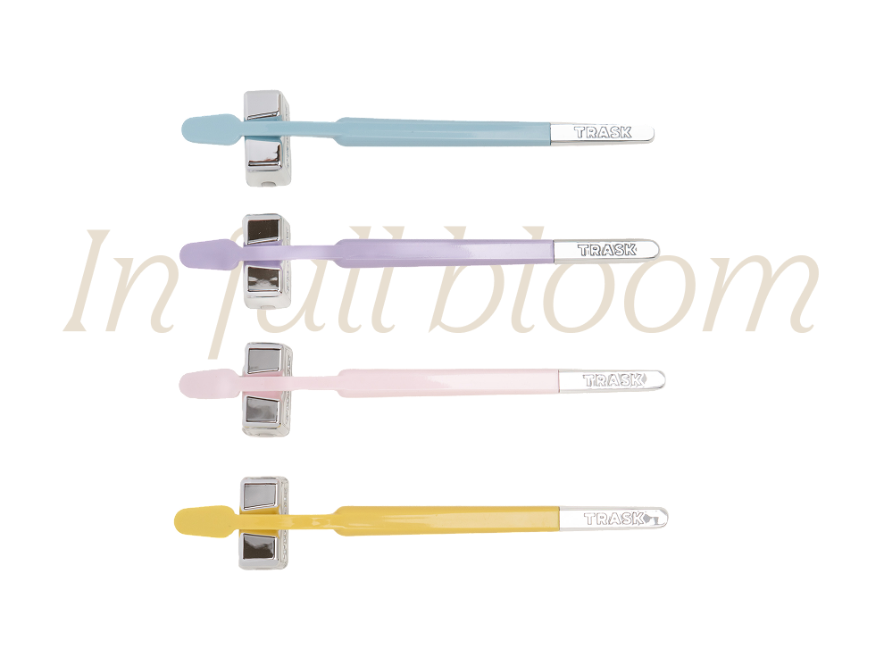 The Bloom Bundle